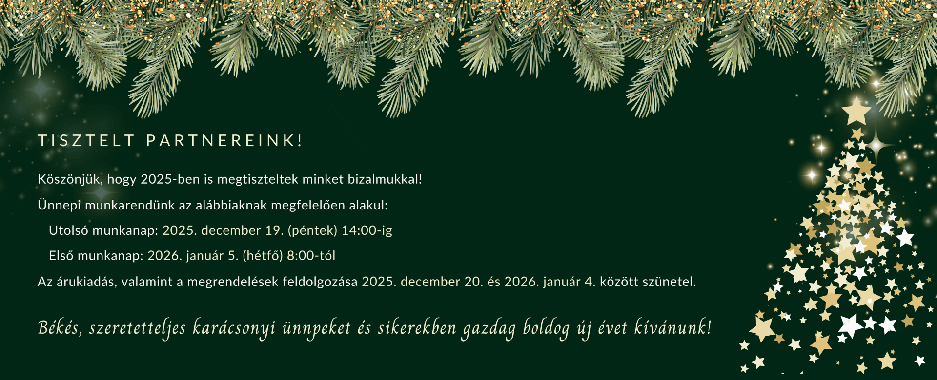 Kellmes ünnepeket kíván a Polimer Plus Kft csapata!